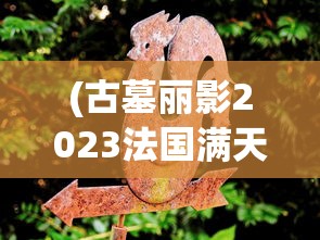 (古墓丽影2023法国满天星在线)古墓丽影2023，法国满天星之谜