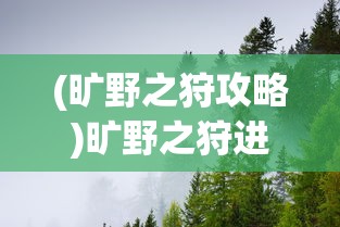 (旷野之狩攻略)旷野之狩进入指南，攻略、技巧与常见问题解答