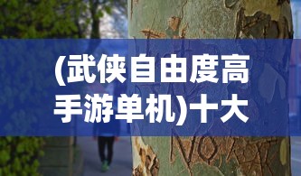 (武侠自由度高手游单机)十大自由度超高的武侠单机游戏，探索无限江湖世界！