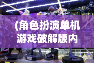 (角色扮演单机游戏破解版内置修改器)角色扮演类单机游戏破解版，深度解析与探讨