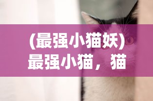 (最强小猫妖)最强小猫，猫界新星的力量与魅力