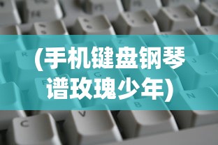 (手机键盘钢琴谱玫瑰少年)电脑键盘下的钢琴曲谱，玫瑰少年，深度解析与探索