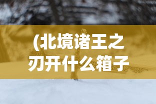 (北境诸王之刃开什么箱子)北境诸王大剑，传奇之剑的史诗之旅
