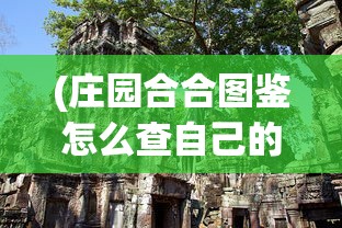 (庄园合合图鉴怎么查自己的图纸)庄园合合图鉴，探索虚拟世界的宝藏之地