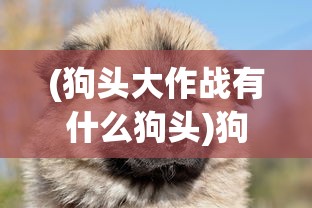 (狗头大作战有什么狗头)狗头大作战中的神秘狗头角色解析