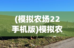 (模拟农场22手机版)模拟农场22，全新农业体验的深度解析与常见问题解答