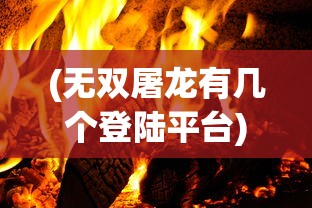 (无双屠龙有几个登陆平台)无双屠龙，多个平台的热门游戏探索