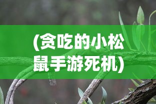 (贪吃的小松鼠手游死机)贪吃的小松鼠手游，探索与冒险的乐趣