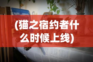 (猫之宿约者什么时候上线)猫之宿约者是否停服，深度解析与常见问题解答