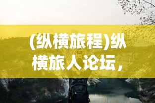 (皇家奇兵兑换码)皇家奇兵，换皮游戏的深度解析