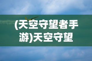 (天空守望者手游)天空守望者攻击机，空中力量的先锋