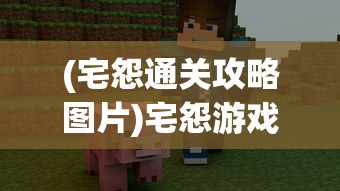 (宅怨通关攻略图片)宅怨游戏通关攻略详解及常见问题解答