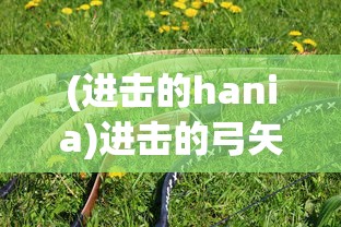 (进击的hania)进击的弓矢，弓术武器与现代社会的融合与发展