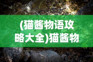 (猫酱物语攻略大全)猫酱物语游戏攻略详解及常见问答解答