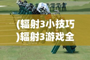 (辐射3小技巧)辐射3游戏全面攻略教程