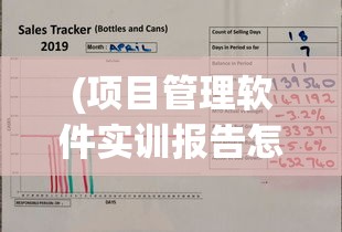 (项目管理软件实训报告怎么写)项目管理软件实训报告详解及常见问题解答