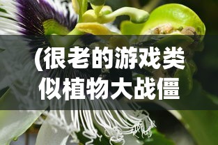 (很老的游戏类似植物大战僵尸的游戏)探索经典游戏，老而弥新的植物大战僵尸风格游戏