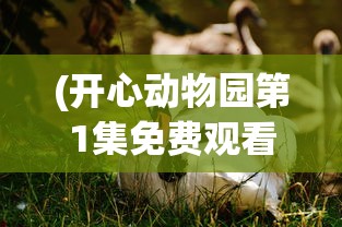 (开心动物园第1集免费观看)开心动物园第1集，欢乐启程与动物奇遇
