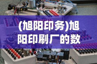 (旭阳印务)旭阳印刷厂的数字化转型之路及其挑战