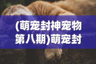 (萌宠封神宠物第八期)萌宠封神更新后的新名字揭秘