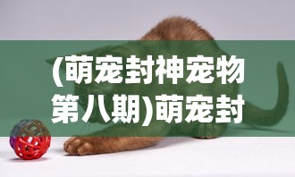 (萌宠封神宠物第八期)萌宠封神更新后的新名字揭秘