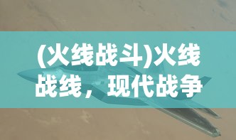 (火线战斗)火线战线，现代战争中的前线奋战