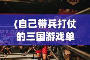 (自己带兵打仗的三国游戏单机内置作弊菜单)单机版三国游戏，亲自指挥作战体验