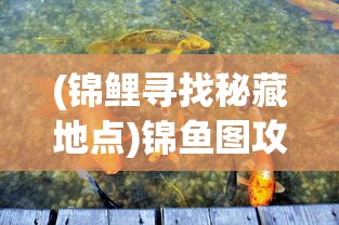(锦鲤寻找秘藏地点)锦鱼图攻略，探寻诗句中的秘密