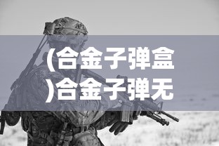 (合金子弹盒)合金子弹无，未来武器技术的探索与挑战