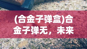 (合金子弹盒)合金子弹无，未来武器技术的探索与挑战