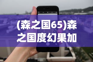 (森之国65)森之国度幻果加点攻略及表格详解