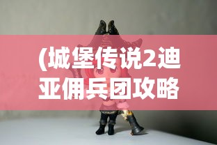 (城堡传说2迪亚佣兵团攻略视频)城堡传说2迪亚佣兵团全面攻略及常见问题解答