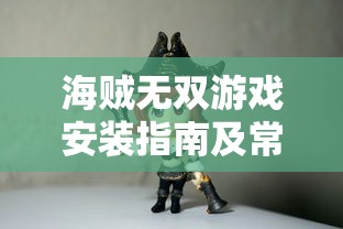 海贼无双游戏安装指南及常见问题解答
