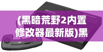 (黑暗荒野2内置修改器最新版)黑暗荒野2内置开关秒杀版，游戏新体验的深度解析与常见问题解答
