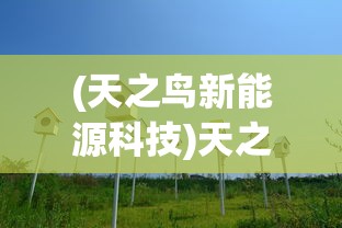 (天之鸟新能源科技)天之鸟新能源，绿色能源的崭新篇章