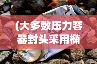 (大多数压力容器封头采用椭圆形封头)大多数压力容器封头所采用的封头类型研究