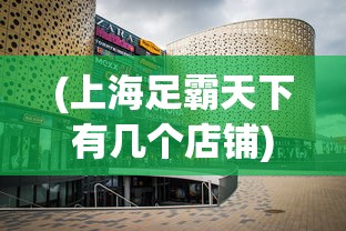 (上海足霸天下有几个店铺)上海足霸天下的店铺数量及其分布分析