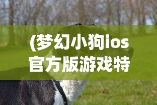 (机甲爱丽丝日服叫什么)关于机甲爱丽丝日服的停服争议，深度解析与常见问题解答
