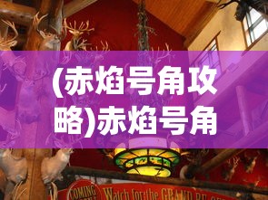(天行宝贝变态版)天行宝贝GM版，游戏新体验的深度解析