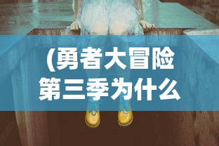 (勇者大冒险第三季为什么不出了)勇者大冒险3为何不再推出，深度分析与常见问答