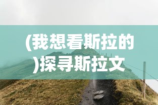 (灰烬战线反和谐立绘)灰烬战线反和谐，深度探讨与常见问题解答