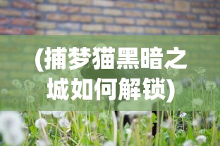 (捕梦猫黑暗之城如何解锁)捕梦猫，黑暗之城的秘密探索