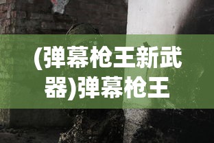(弹幕枪王新武器)弹幕枪王破盾，游戏策略与机制解析