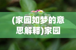 (家园如梦的意思解释)家园如梦，一种深深的情感寄托与回忆的象征