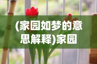 (家园如梦的意思解释)家园如梦，一种深深的情感寄托与回忆的象征