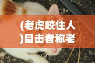 (dhxy.163 大话手游官网)大话西游手游网易版本客户端，深度解析与常见问题解答