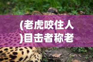 (老虎咬住人)目击者称老虎咬人又咬牛，揭示动物攻击事件背后的真相