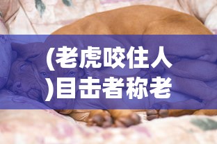 (老虎咬住人)目击者称老虎咬人又咬牛，揭示动物攻击事件背后的真相