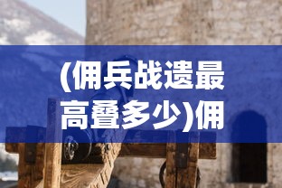 (佣兵战遗最高叠多少)佣兵战遗，荣耀与责任的交织