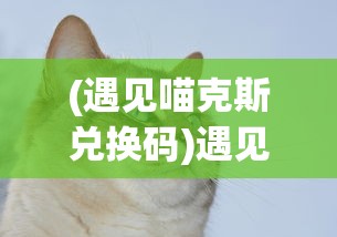 (遇见喵克斯兑换码)遇见喵克斯更新后仅余猫咪，游戏内容的转变与解读